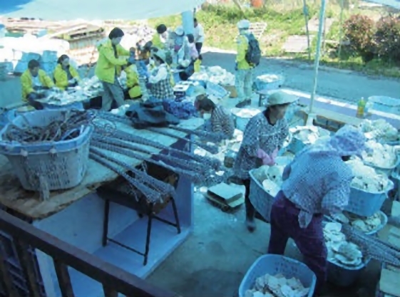 東日本大震災支援　物資・作業援助