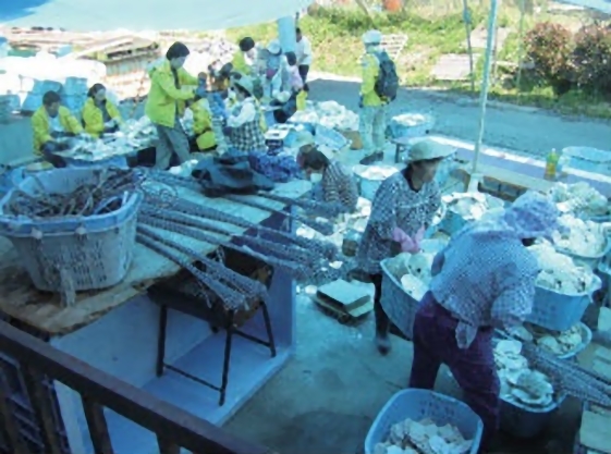 東日本大震災支援 物資・作業援助