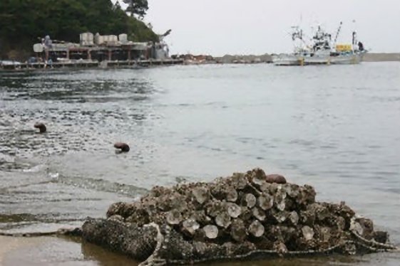 東日本大震災支援活動 被災地の光景