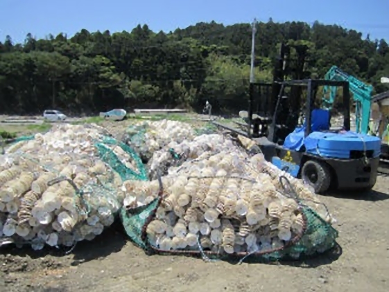 東日本大震災支援活動