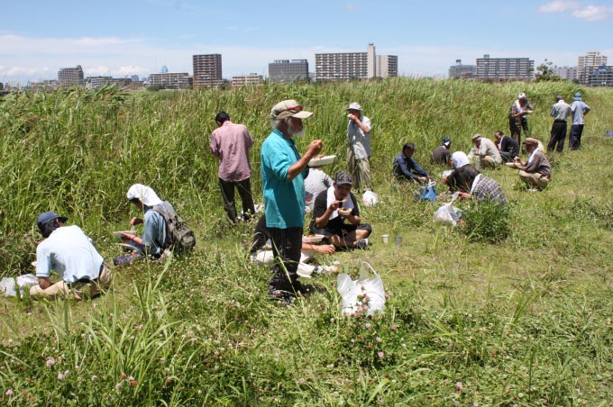 川崎市多摩川河川敷　慈善活動